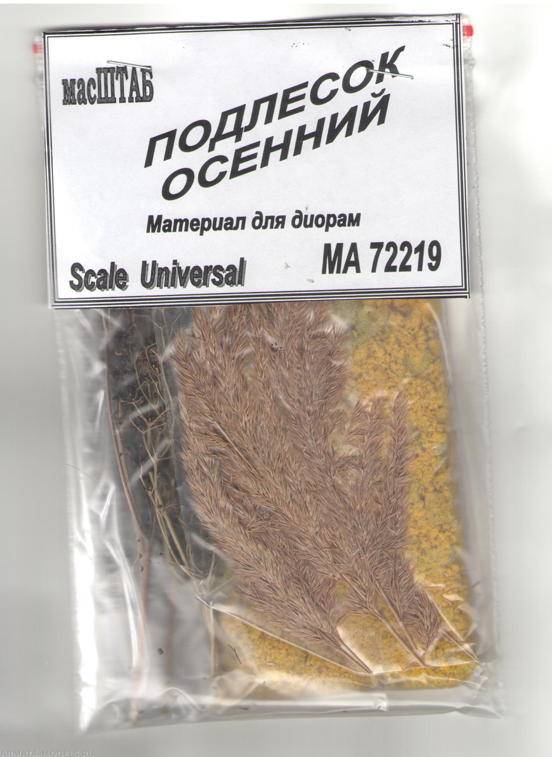 72219 Подлесок осенний