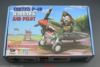 TT002 Cute  U.S P-40 Warhawk ( Contains a