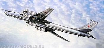 01609 Самолет  Ту-142 МР