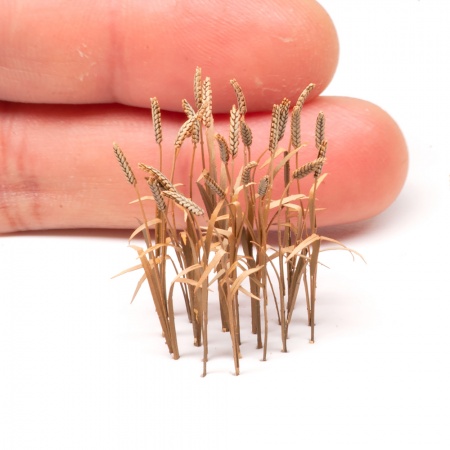 S-167 Пшеница, размер L